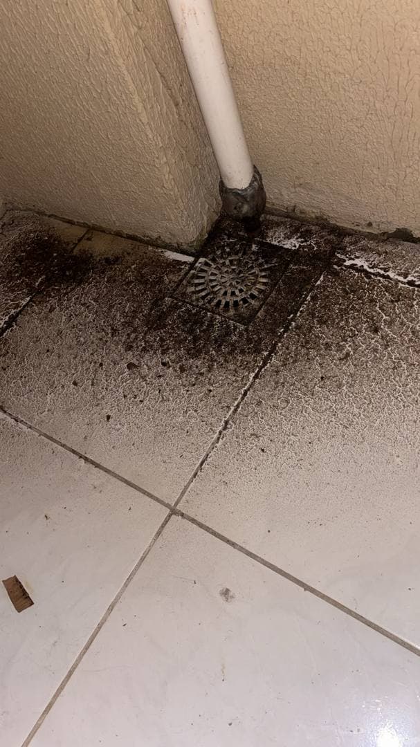 Limpeza de ralo e caixa sifonada